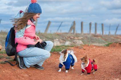 hiking with a small dog