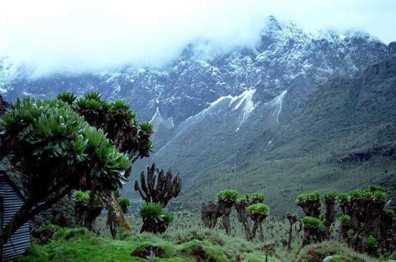 Bokong Nature Reserve