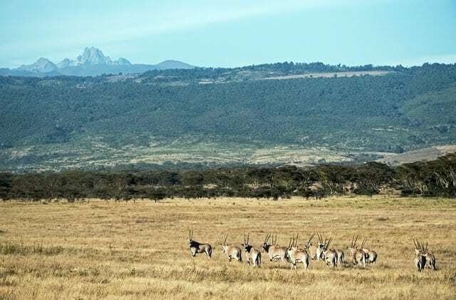 Facts About Mountains in Africa