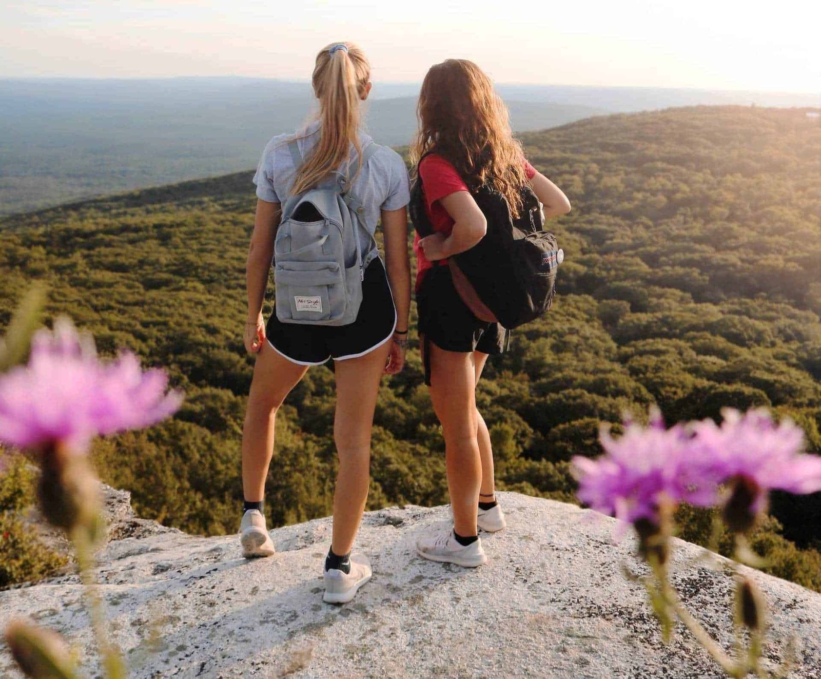 Hiking Shorts