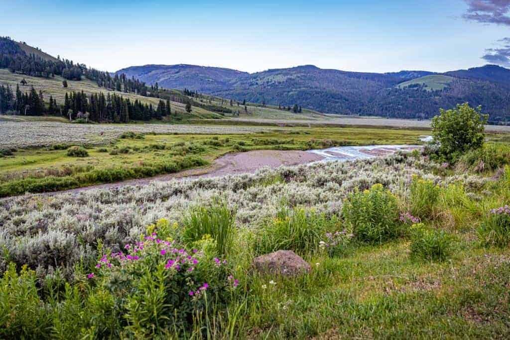 Yellowstone National Park Wyoming Montana Idaho