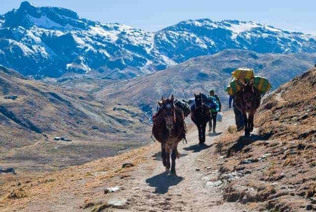 Hiking with a Donkey