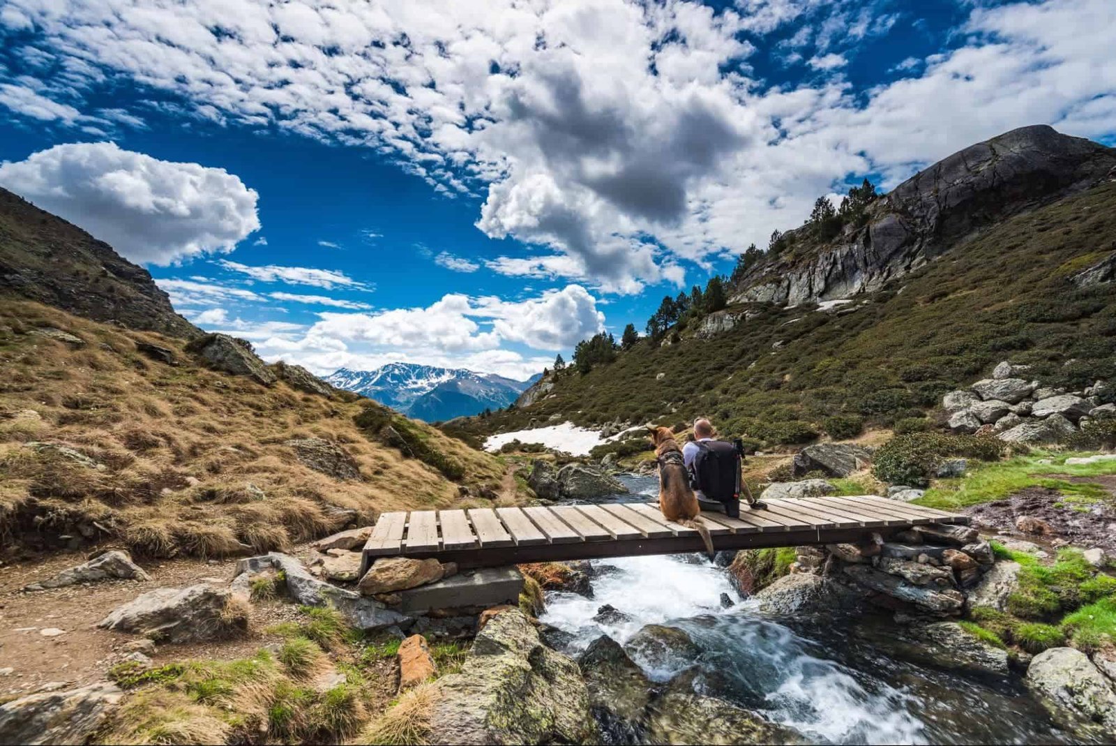 Gearing Your Dog To Be Hike Ready