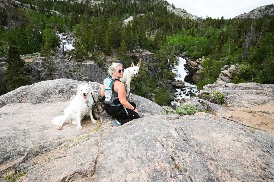 Dogs with hiking woman