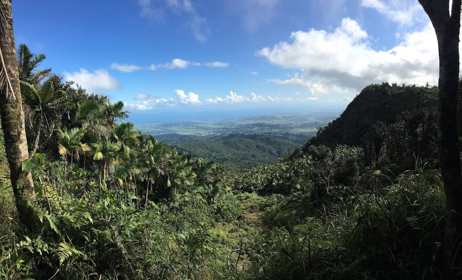 The Southern coast of Puerto Rico